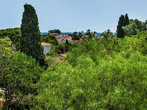 Cielo, Costruzione, Verde, Pianta, Paesaggio Naturale, Albero, Arbusto, Erba, Casa, Paesaggio