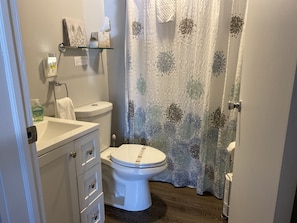 Lower level bathroom 