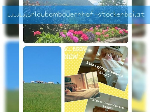 Miscellaneous
