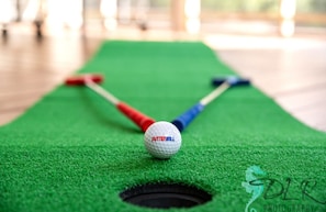 Putterball Game for Indoor Golf