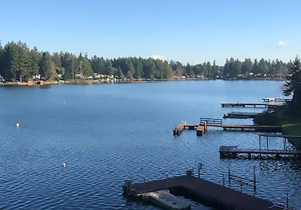 View from the patio