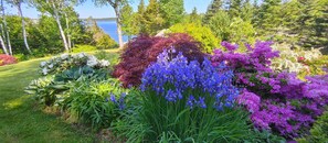 Garden Flowers