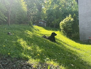 Property grounds