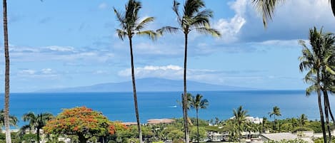 Panoramic Ocean View