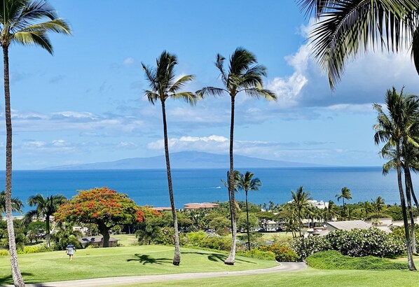 Panoramic Ocean View