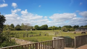 View from the patio