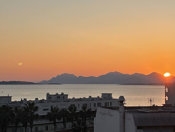 Vue sur la plage ou l’océan