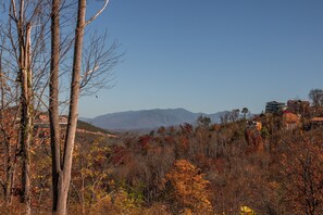 Fall Porch View