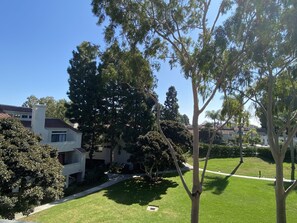 View of Majestic pine trees and beautifully maintained grounds