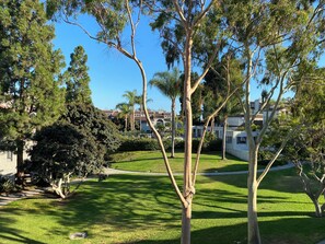 View from Master bedroom