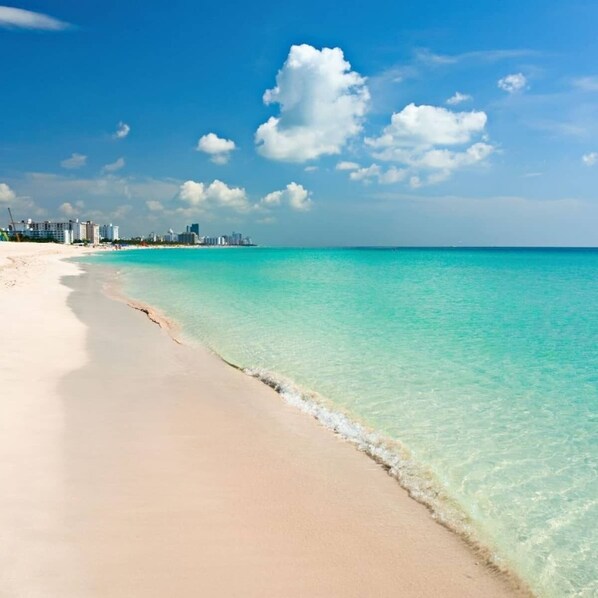 The most amazon beaches of famouse Sunny Isles is in walking distance from you