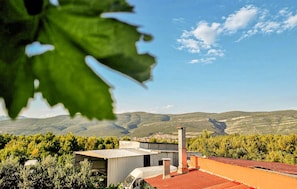 view-from-room