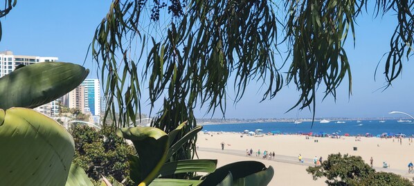 alamitos beach. across ocean blvd from apt. 2 min walk. 