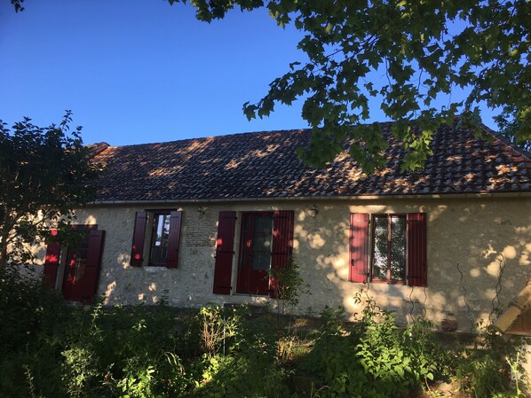 Exteriör