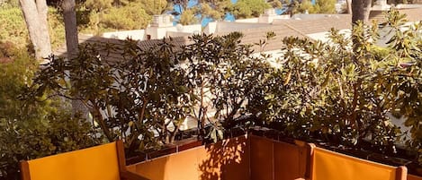 Terrasse ombragée vue sur mer