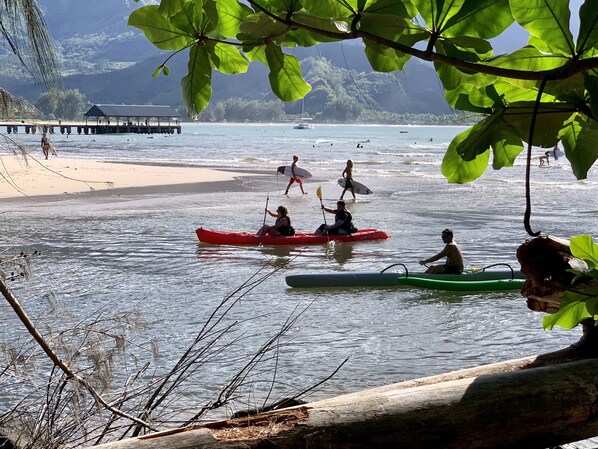 Hanalei River and Bay