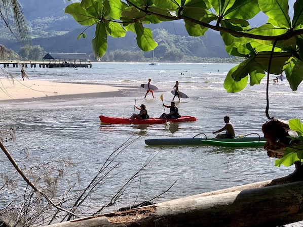 Hanalei River and Bay
