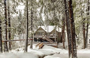 Large enclosed backyard with tons of nature to explore!
