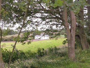 Rural location | Miners Meadow, Wheatley Hill, Durham