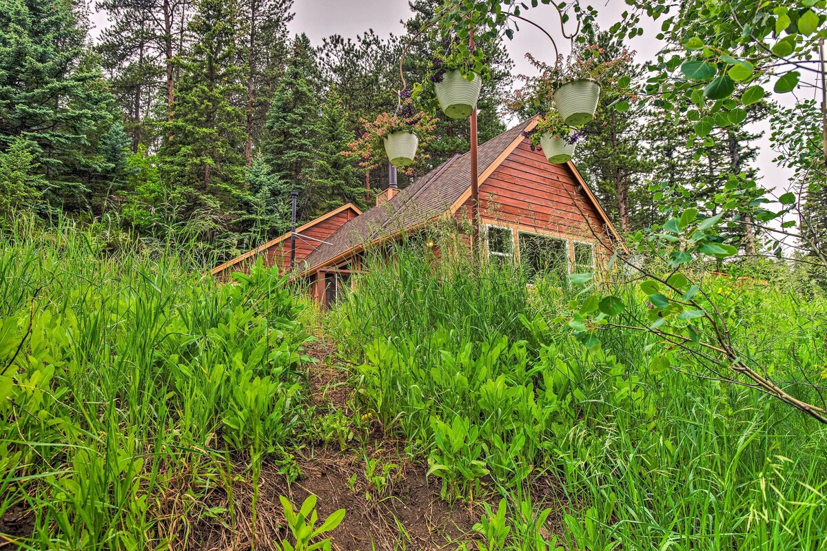 Cozy Creekside Cabin ~ 9 Mi to Red Rocks Park!