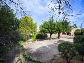 View