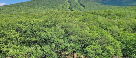 Vista da propriedade