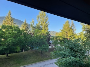 View of Loon