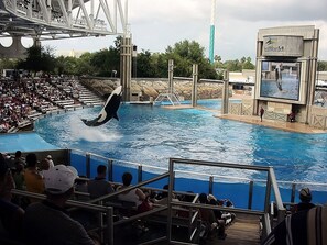 Orlando Sea World