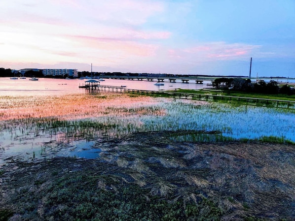 Hello Folly!