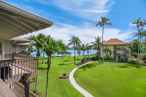 Swaying Coconut Trees and beautiful ocean view.