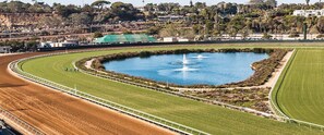 Del Mar Fairgrounds and Racetrack next door - Closest resort to the park