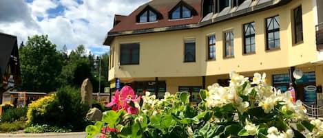 Flower, Plant, Building, Cloud, Property, Sky, Window, House, Petal, Biome