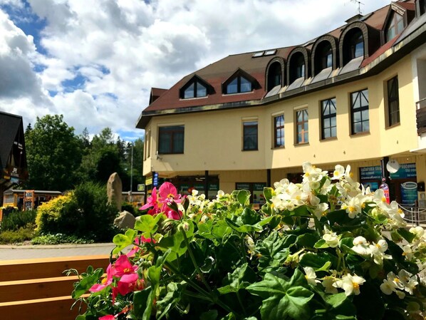 Flower, Plant, Building, Cloud, Property, Sky, Window, House, Petal, Biome