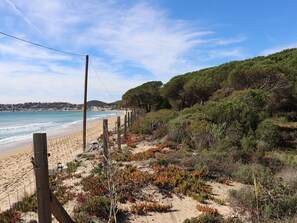 La plage et la pinèd