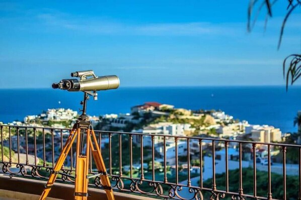 Gorgeous view