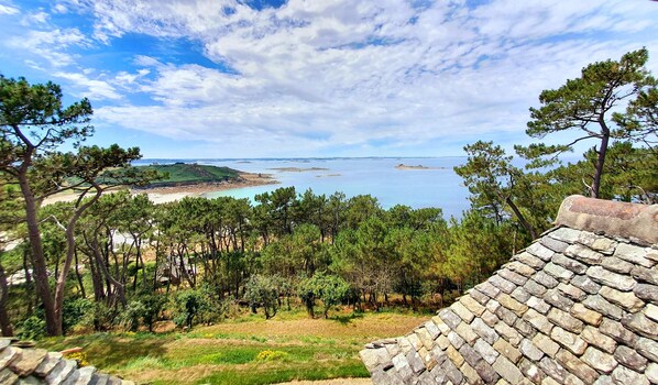 Vue depuis l'étage