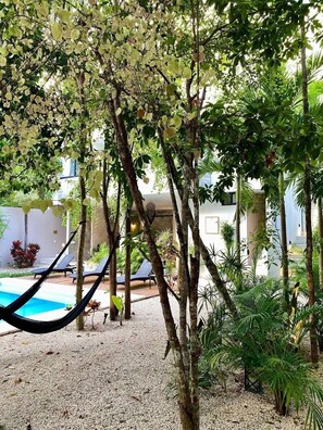 Chill in the hammocks