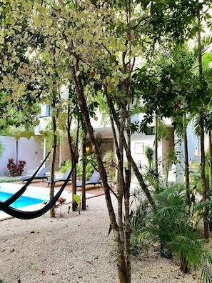 Chill in the hammocks