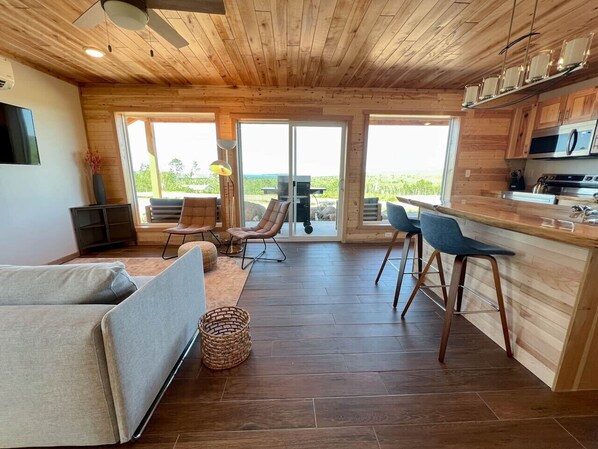 Open Concept Kitchen/Living Room
