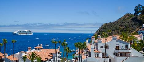 Incredible ocean views from the massive deck!