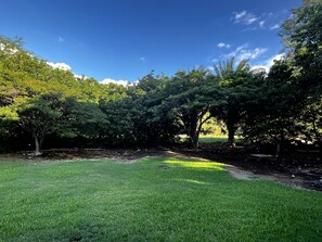 Private backyard.