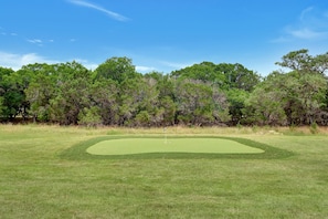 View of the golf green on the property.
