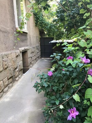 Detalle exterior