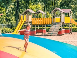 Plante, La Nature, Arbre, Loisirs De Plein Air, Terrain De Jeux, Loisir, Amusement, Espace Public, Été