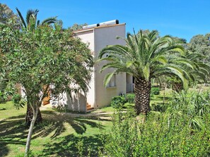 Planta, Cielo, Edificio, Planta De La Comunidad, Árbol, Arecales, Casa, Ventana, El Terreno Del Lote, Vegetación