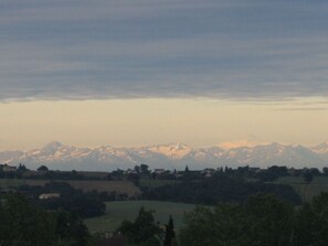 Oklassificerad bild, 5 av 13, knapp