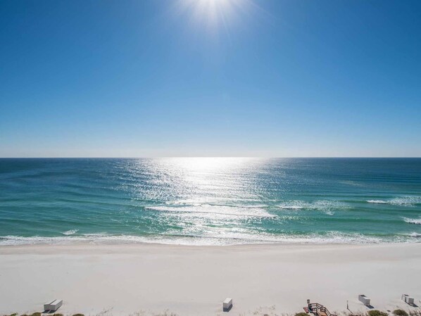 The Pearl of Navarre #1101 | View