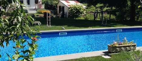 50x16 pool