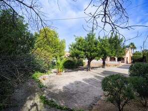 Pflanze, Wolke, Himmel, Natürliche Landschaft, Baum, Strassenbelag, Gras, Landschaft, Schatten, Strauch