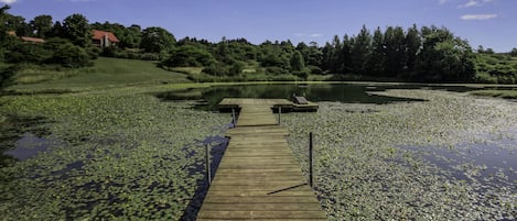 Terrenos do alojamento